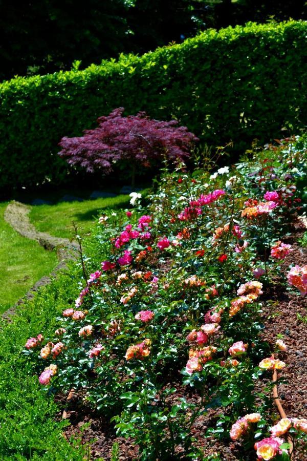 Le Grigne Guesthouse - The Garden Oliveto Lario Buitenkant foto